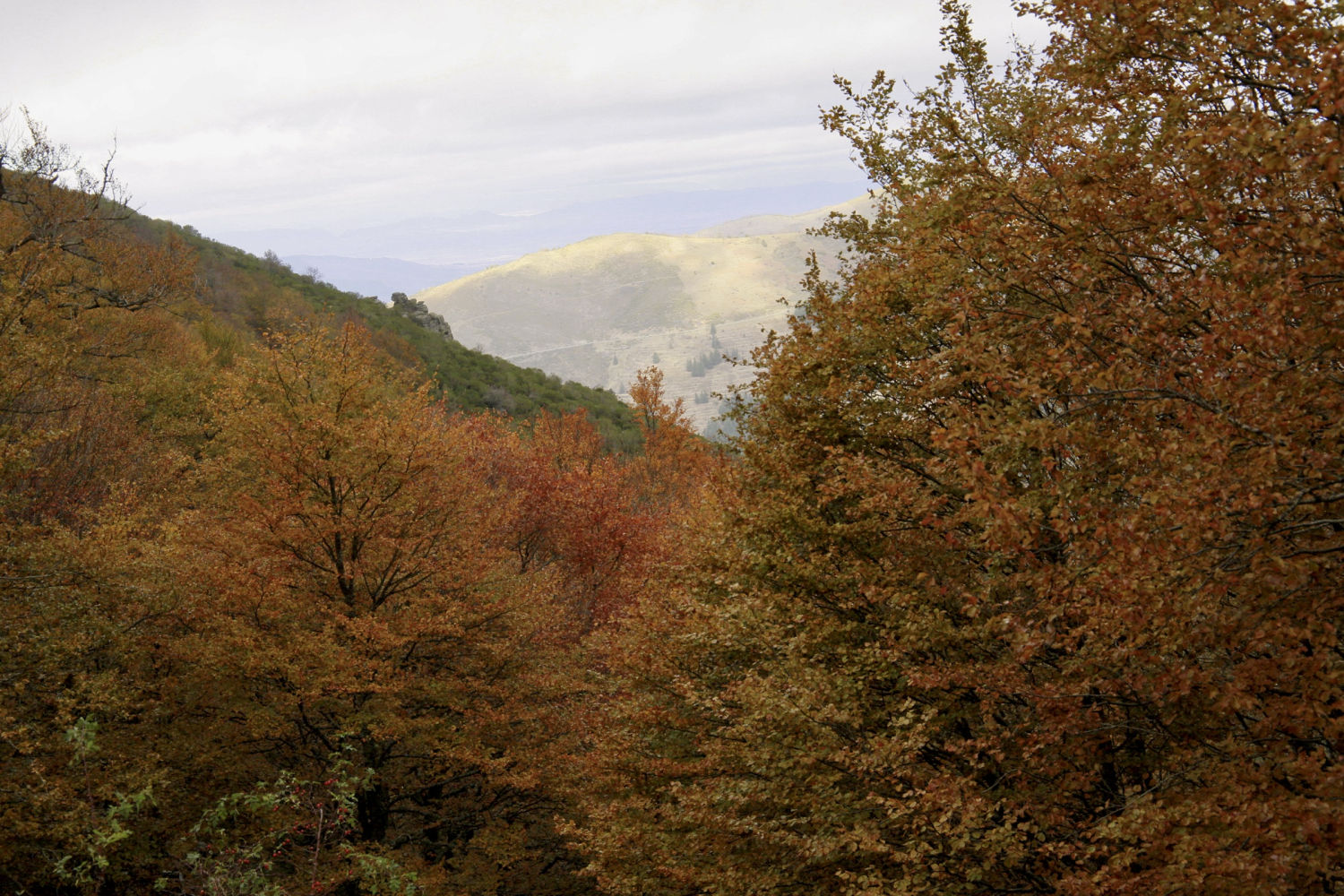 Otoño grandioso en Ezcaray.