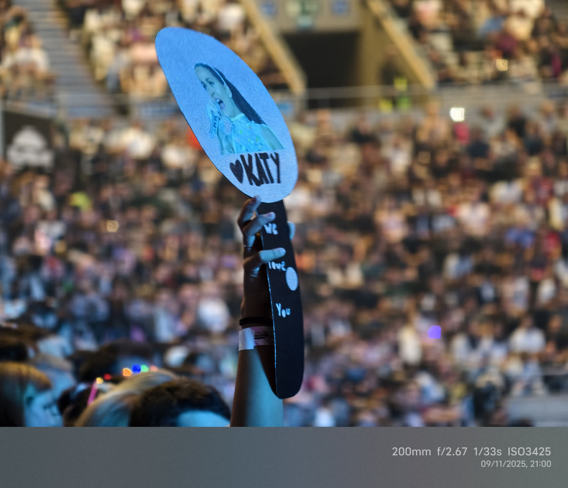 Mucha gente fue con carteles al concierto.