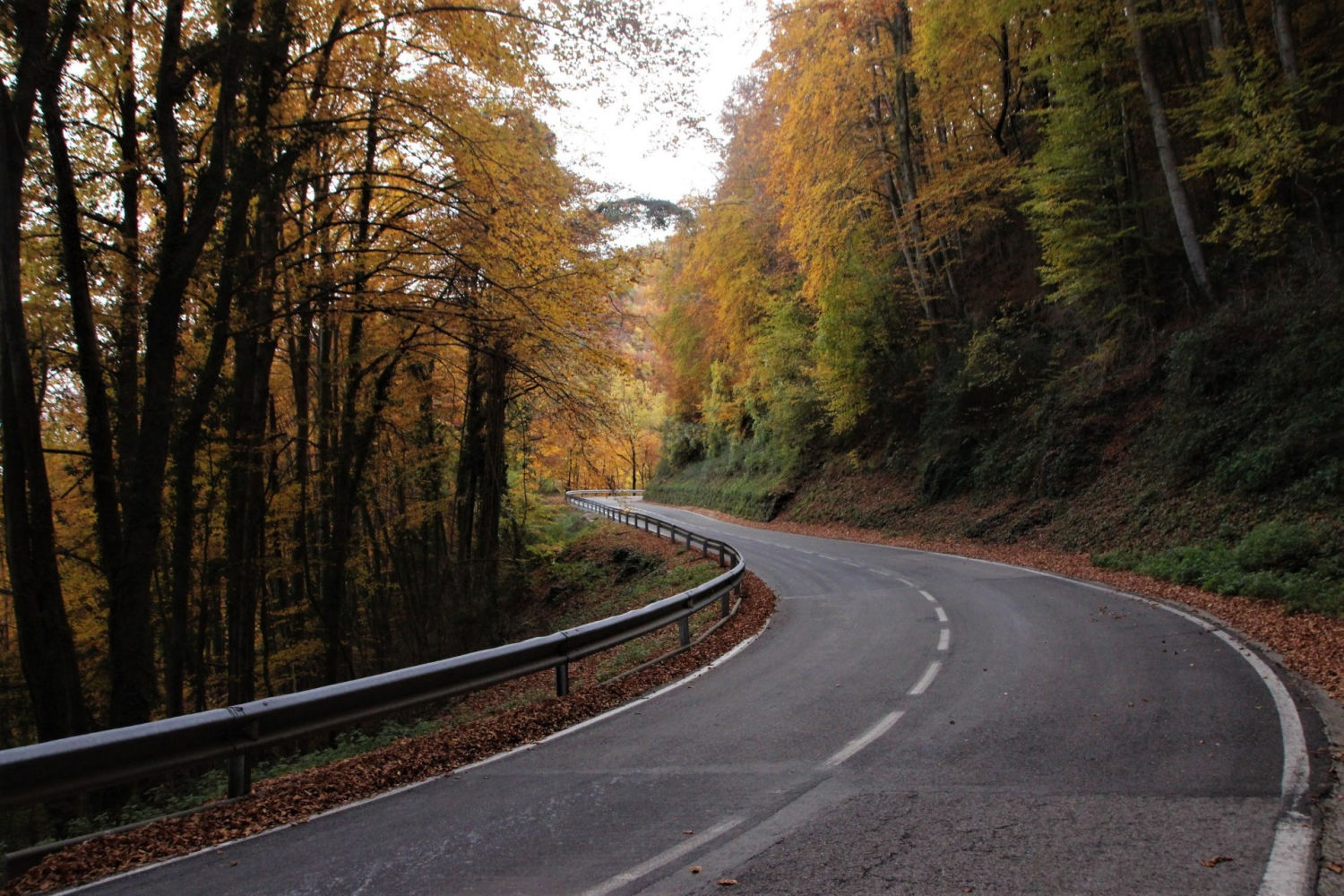 Carretera al otoño de La Garrotxa.