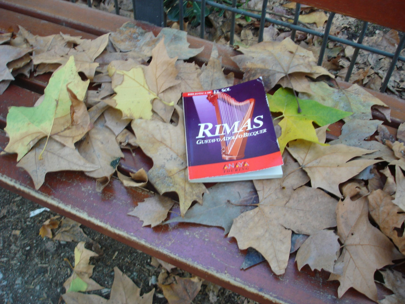 Ejemplar de las 'Rimas' de Gustavo Adolfo Bécquer entre hojas secas en un banco de la Fuente del Berro.