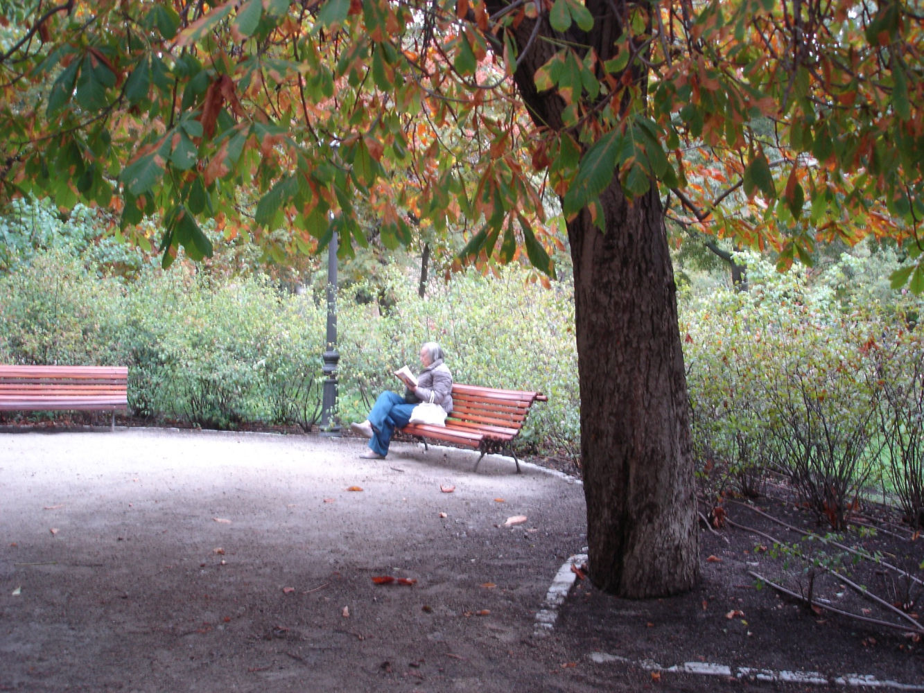Leyendo en el parque.
