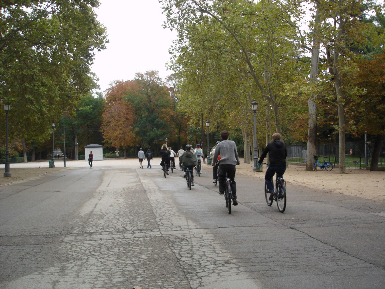 Paseo en bicicleta por el parque.