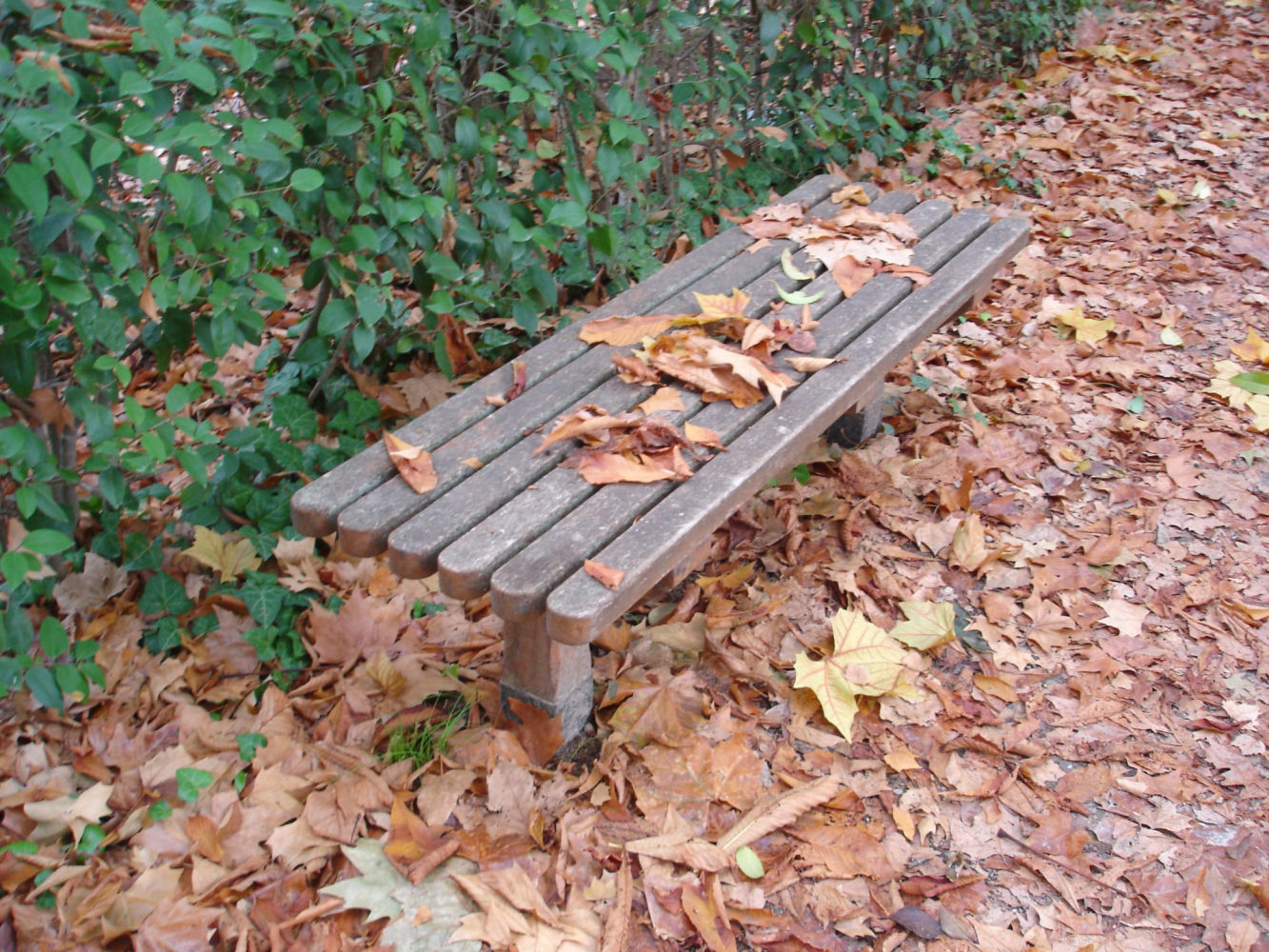 Rincón otoñal en un parque de Madrid.