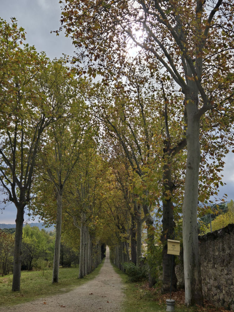 Caminos otoñales del Escorial