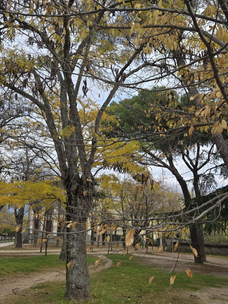 El Escorial, en Otoño