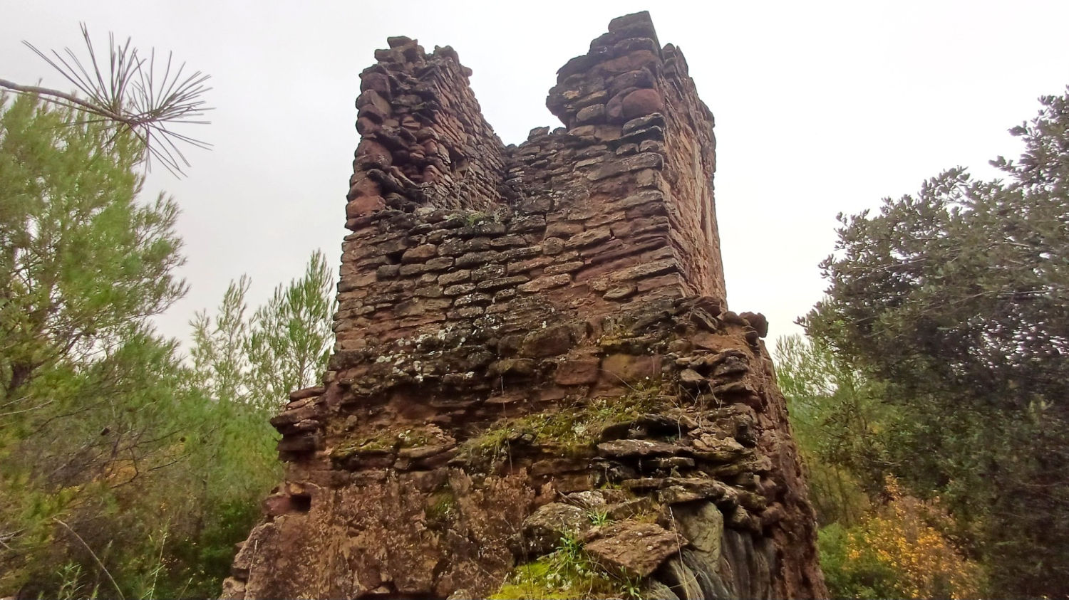 Vestigios de Sant Vicenç d’Aladernet.