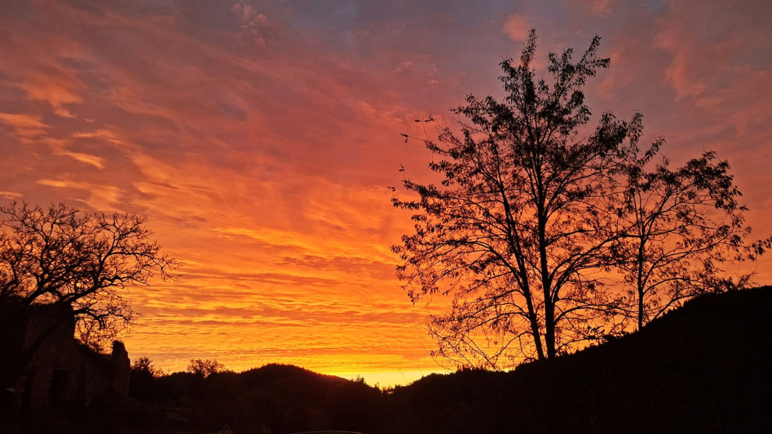 Candilazo en el Montseny.