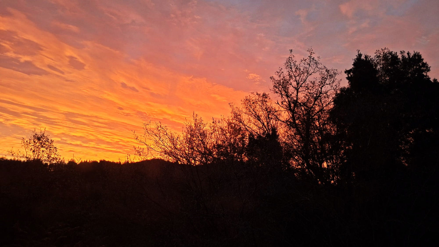 Arrebol en el Montseny.