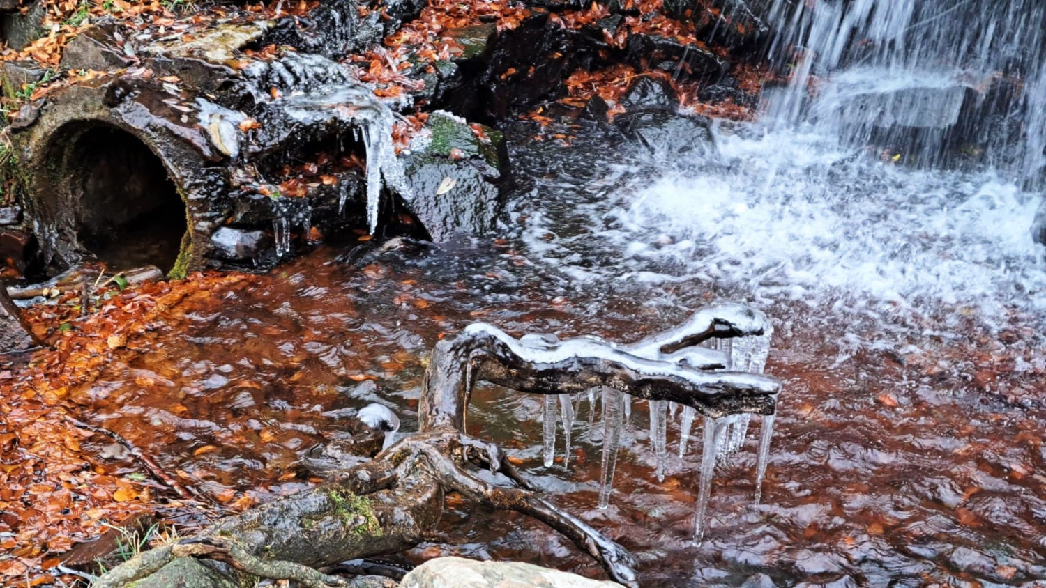 El frío otoño del Montseny.