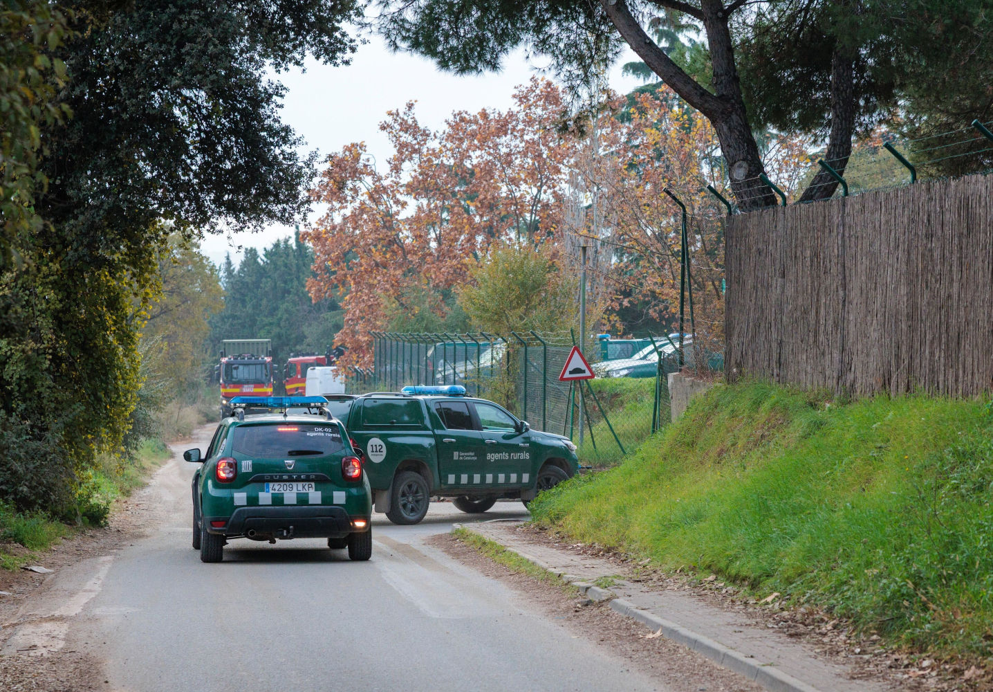 Agentes rurales en Collserola, Barcelona, por la crisis de peste porcina africana