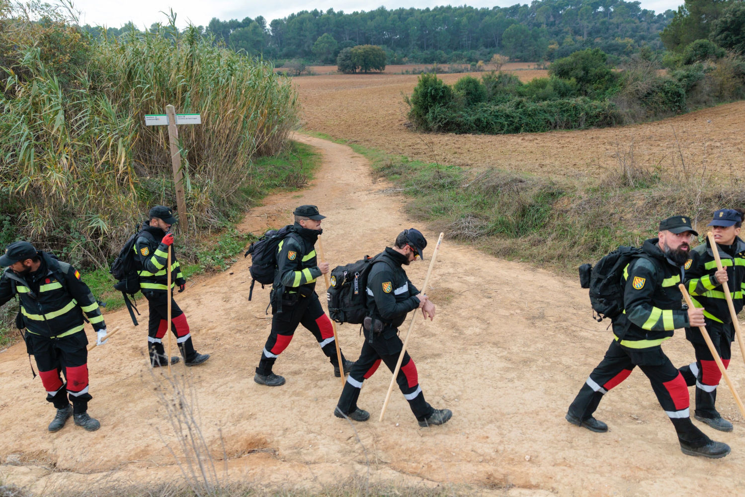 Efectivos de la UME de Aragón desplegados por una zona de Collserola de la población de Cerdanyola del Vallès en la búsqueda de posibles cadáveres de jabalís