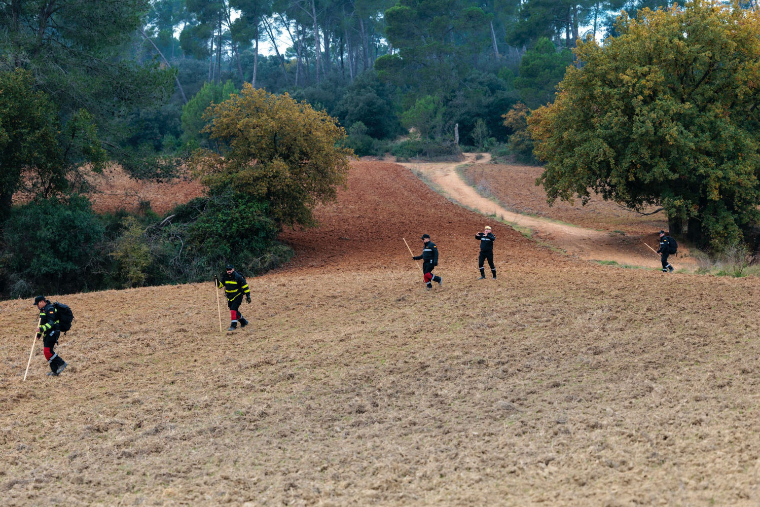 Efectivos de la UME de Aragón desplegados por una zona de Collserola de la población de Cerdanyola del Vallès en la búsqueda de posibles cadáveres de jabalís