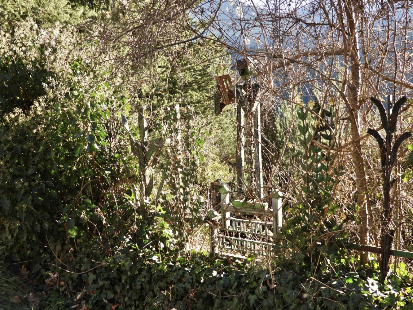 El lector del Saló d’Art de Planès.
