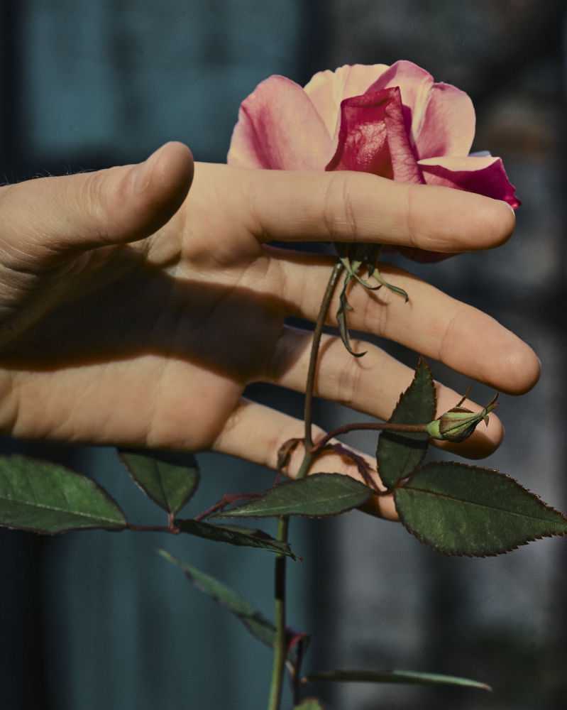 La luz que ve a través de la herida