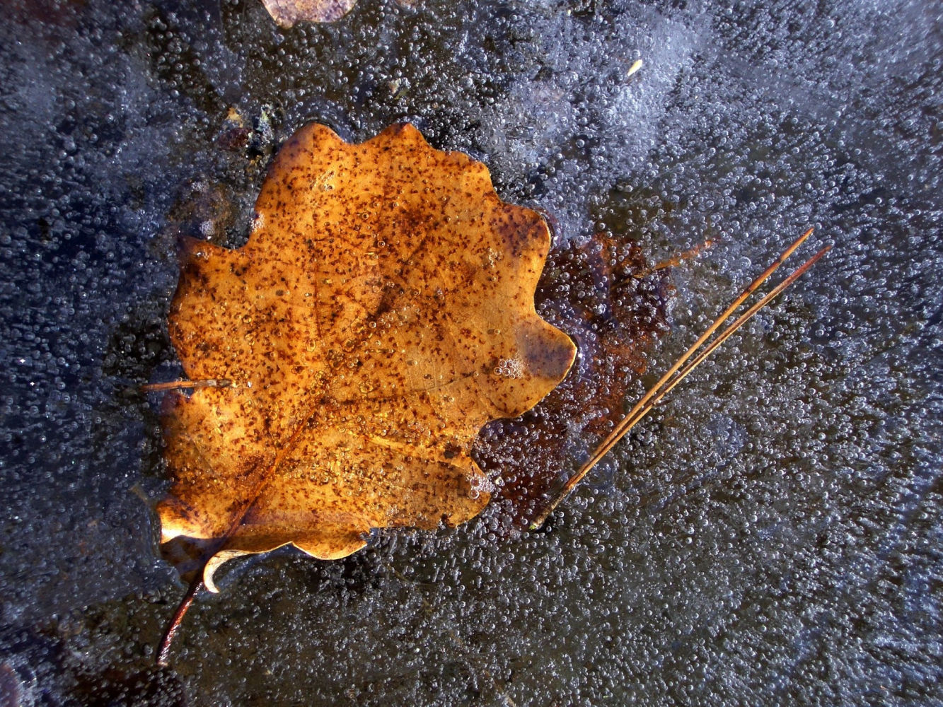 El frío más extremo llego el día de Reyes.