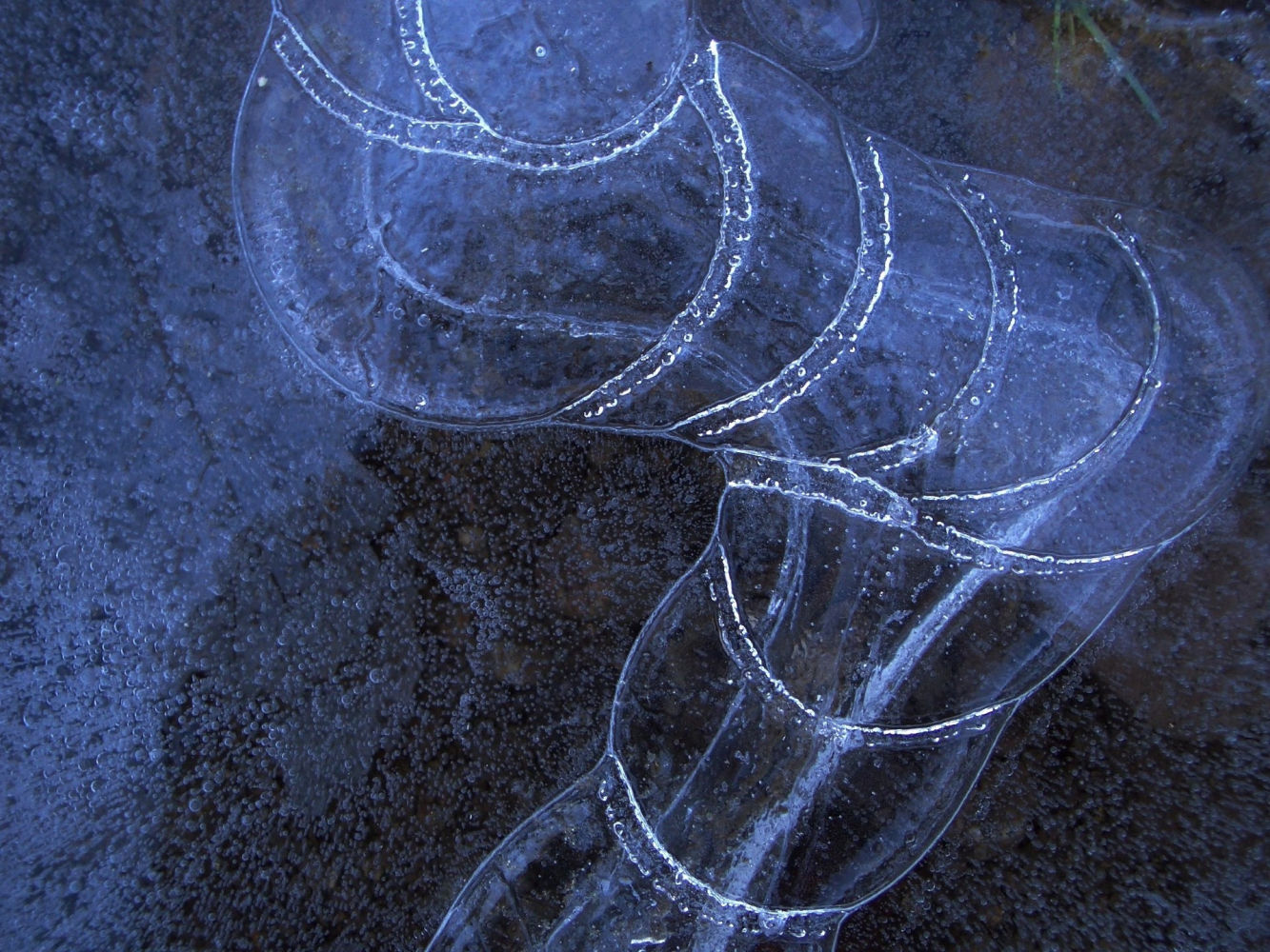 Dejamos atrás la mayoría de las nevadas para recibir al frío riguroso.