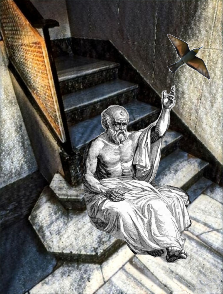 El collage digital resulta una actividad creativa