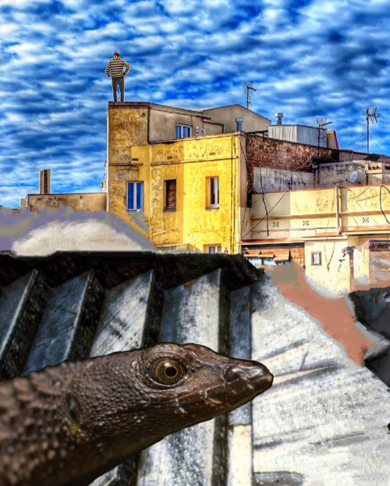 Collage que simula sueños oníricos.