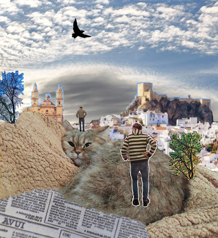 En internet se pueden encontrar imágenes de todas las temáticas que facilitan hacer un collage.