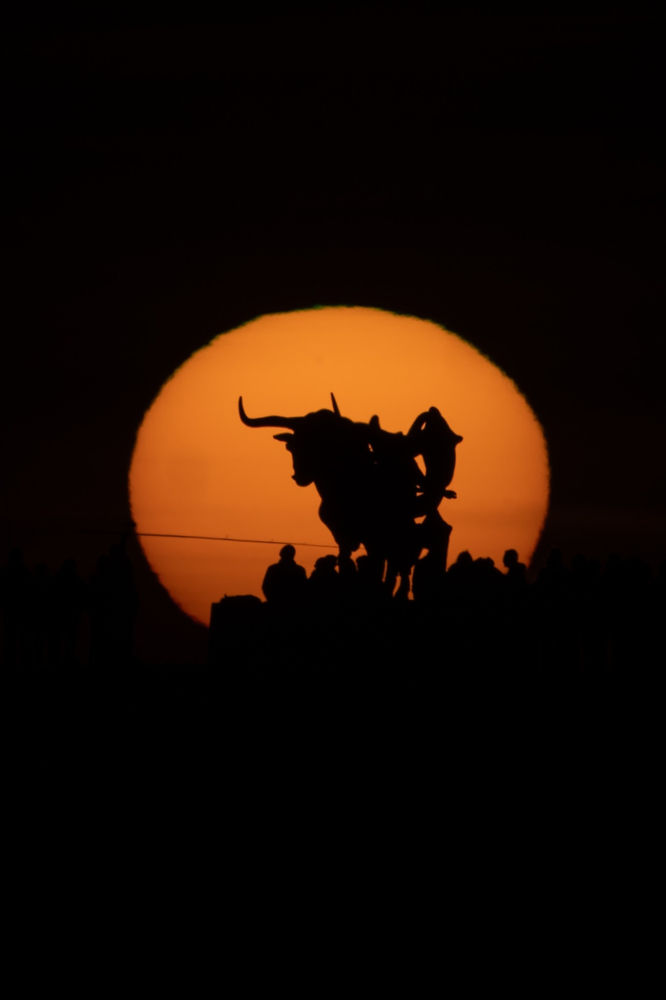 Pasífae envuelta en el sol.