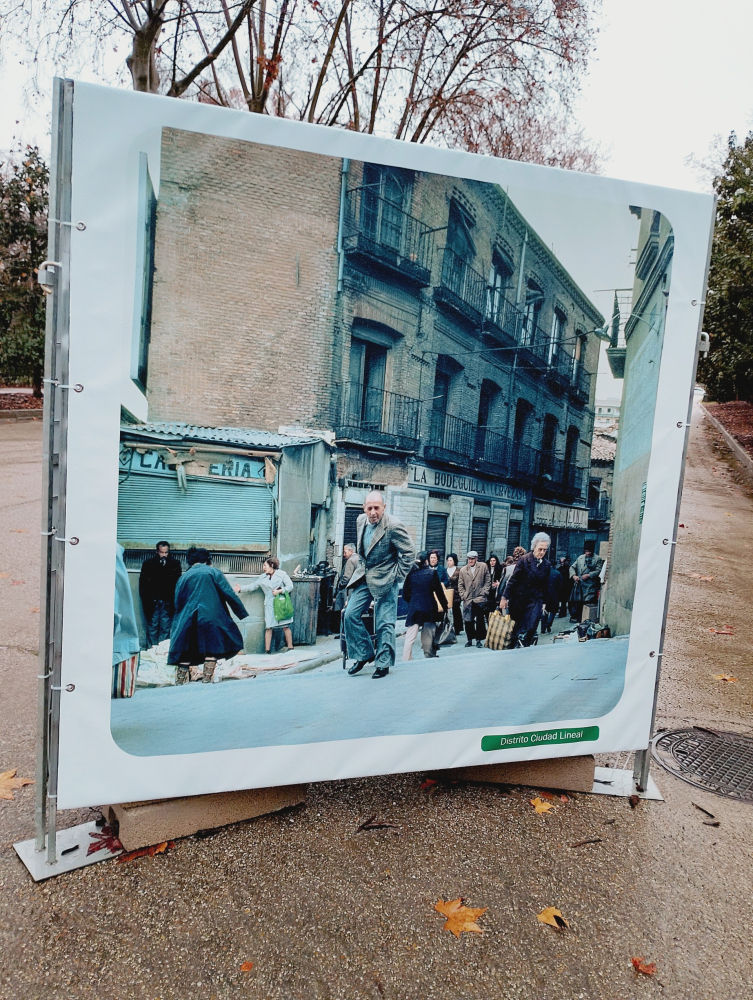 Instantánea expuesta en El Retiro.