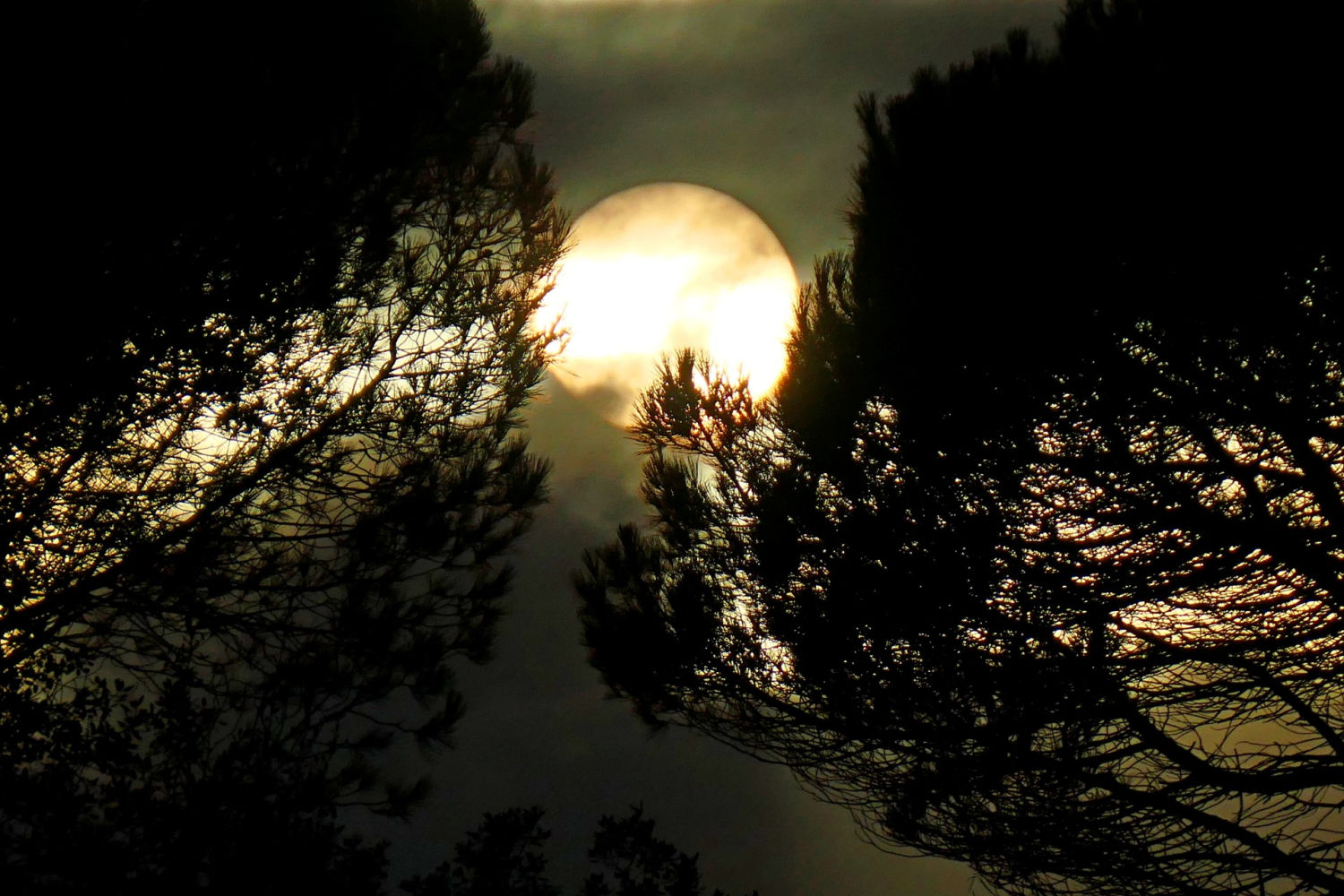 El sol blanco de la puesta de sol en Vilobí d'Onyar.