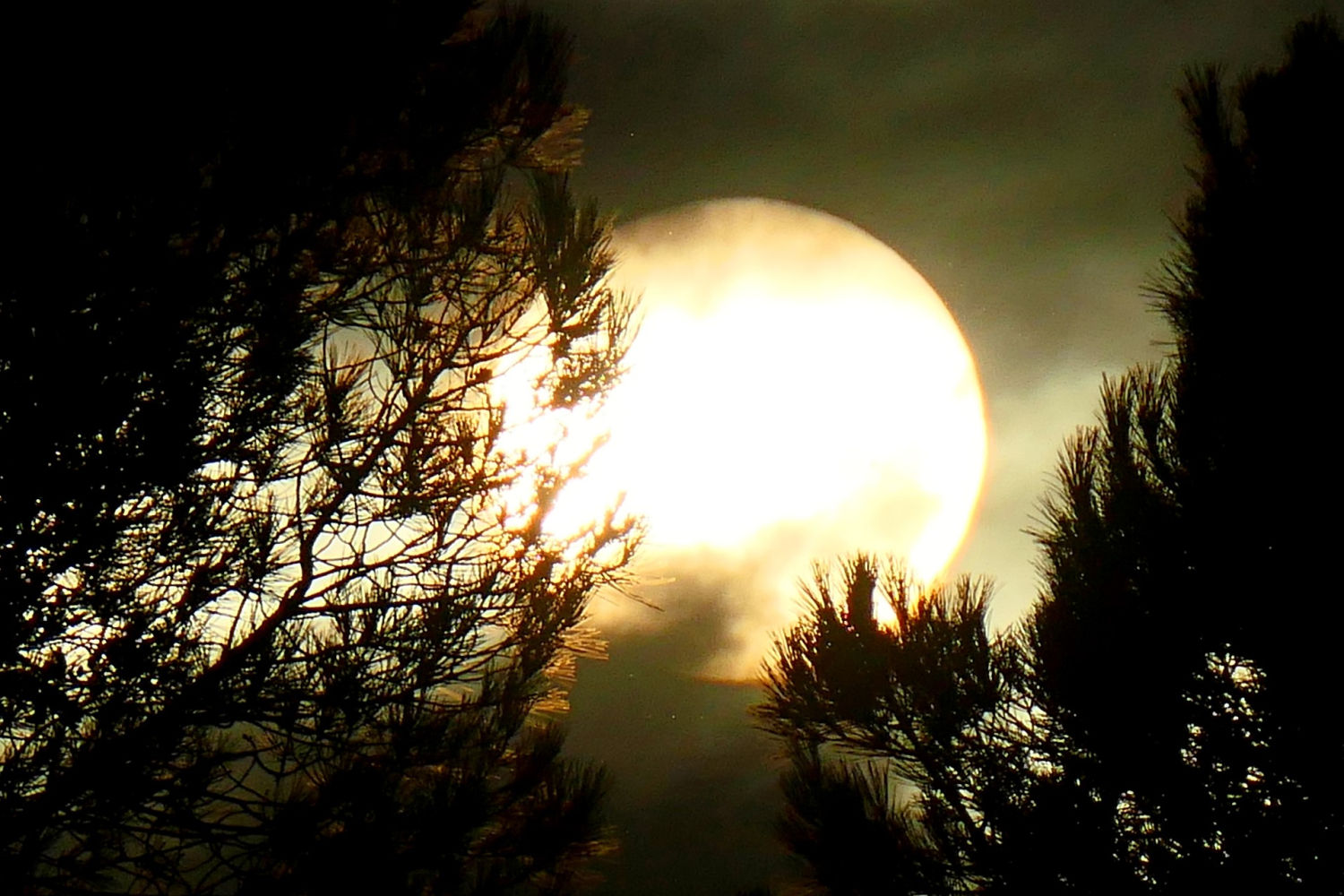 El brillo blanco del sol.