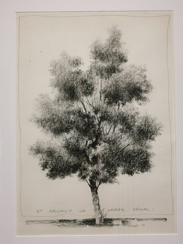 Árbol de Vicenç Huedo.