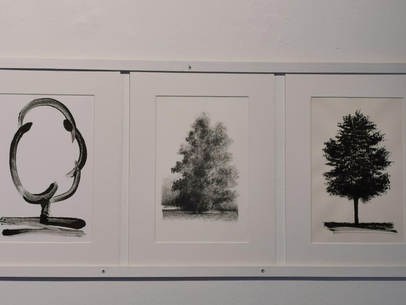 Árboles de Vicenç Huedo.