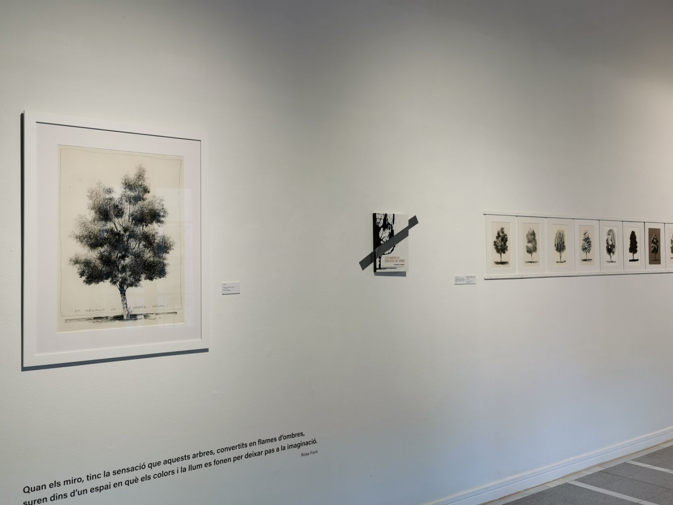 Dibujos de Vicenç Huedo.