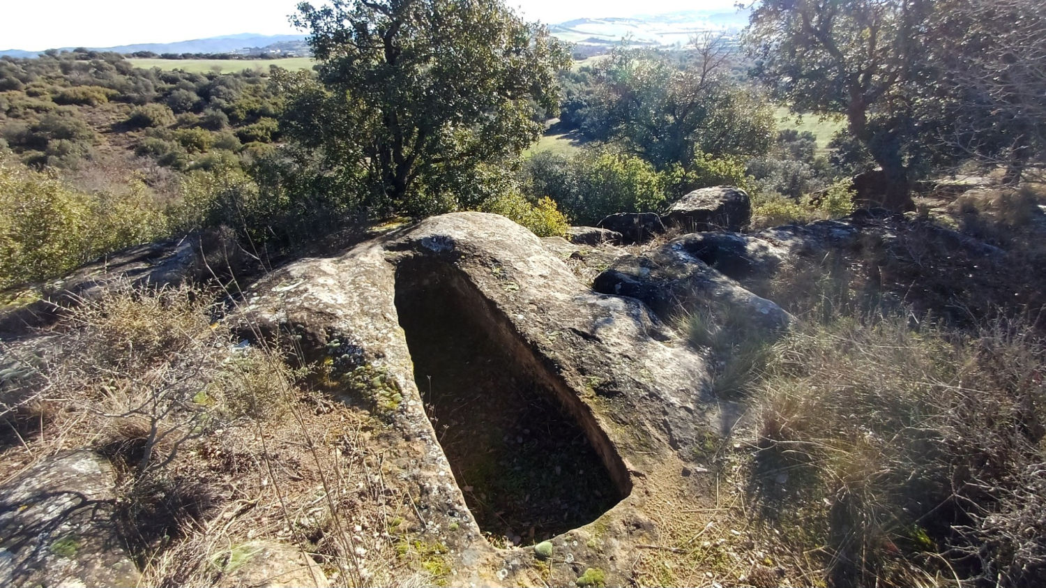 Una de las tumbas de la necrópolis del Serrat del Moro, en pleno paisaje de la Segarra.