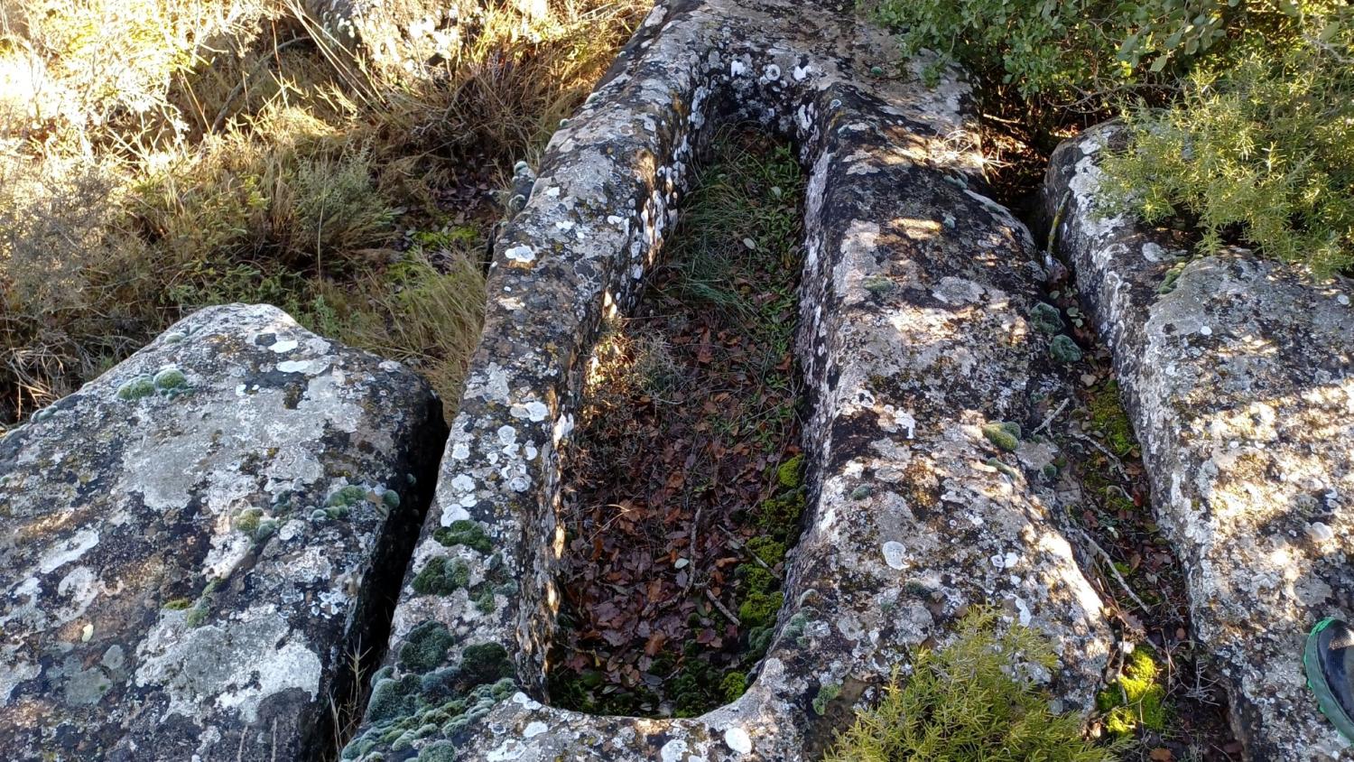 Tumba entre la vegetación.