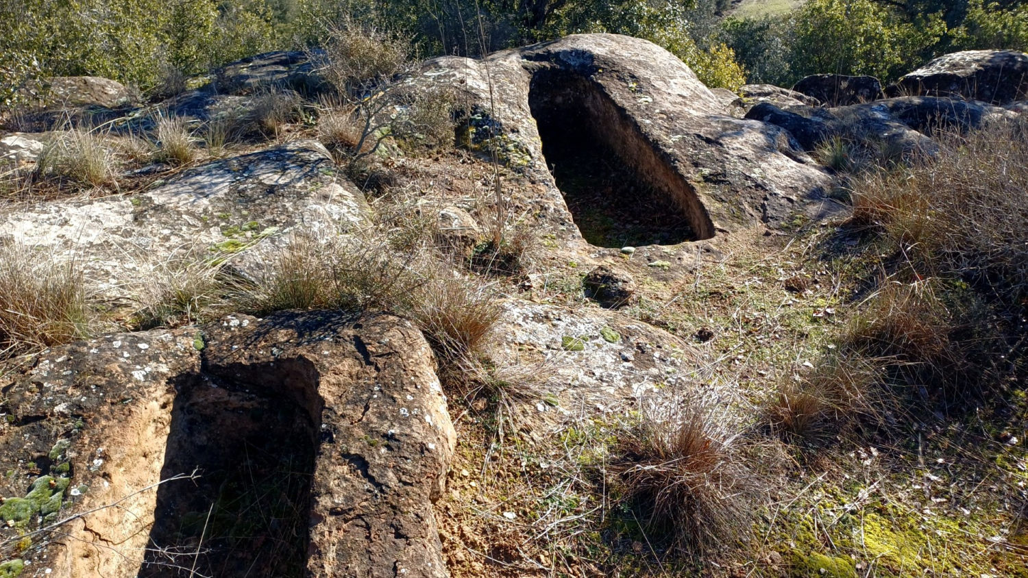 Sepulturas de la necrópolis del Serrat del Moro.