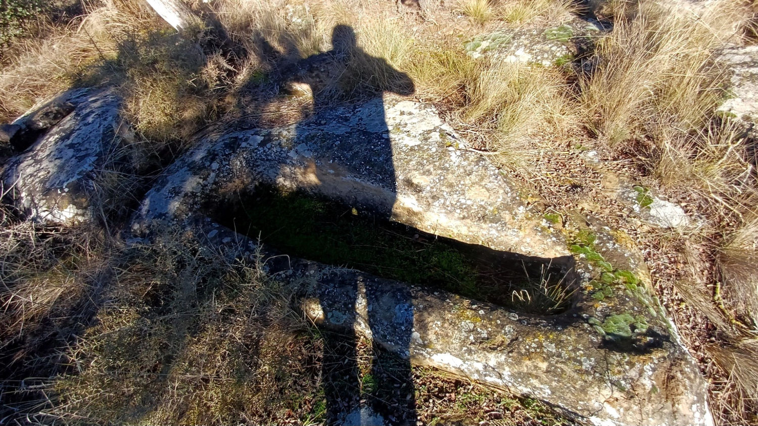 Visita a la necrópolis del Serrat del Moro.