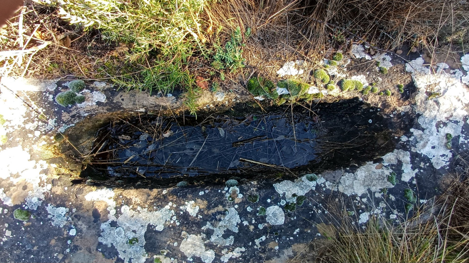 Sepultura del conjunto de la necrópolis del Serrat del Moro.