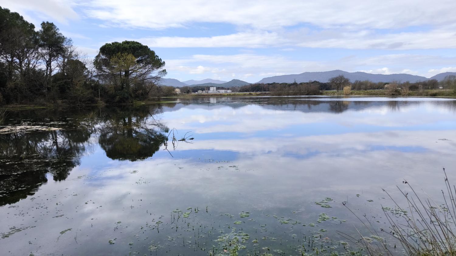 El estanque de la Platja d’Espolla .