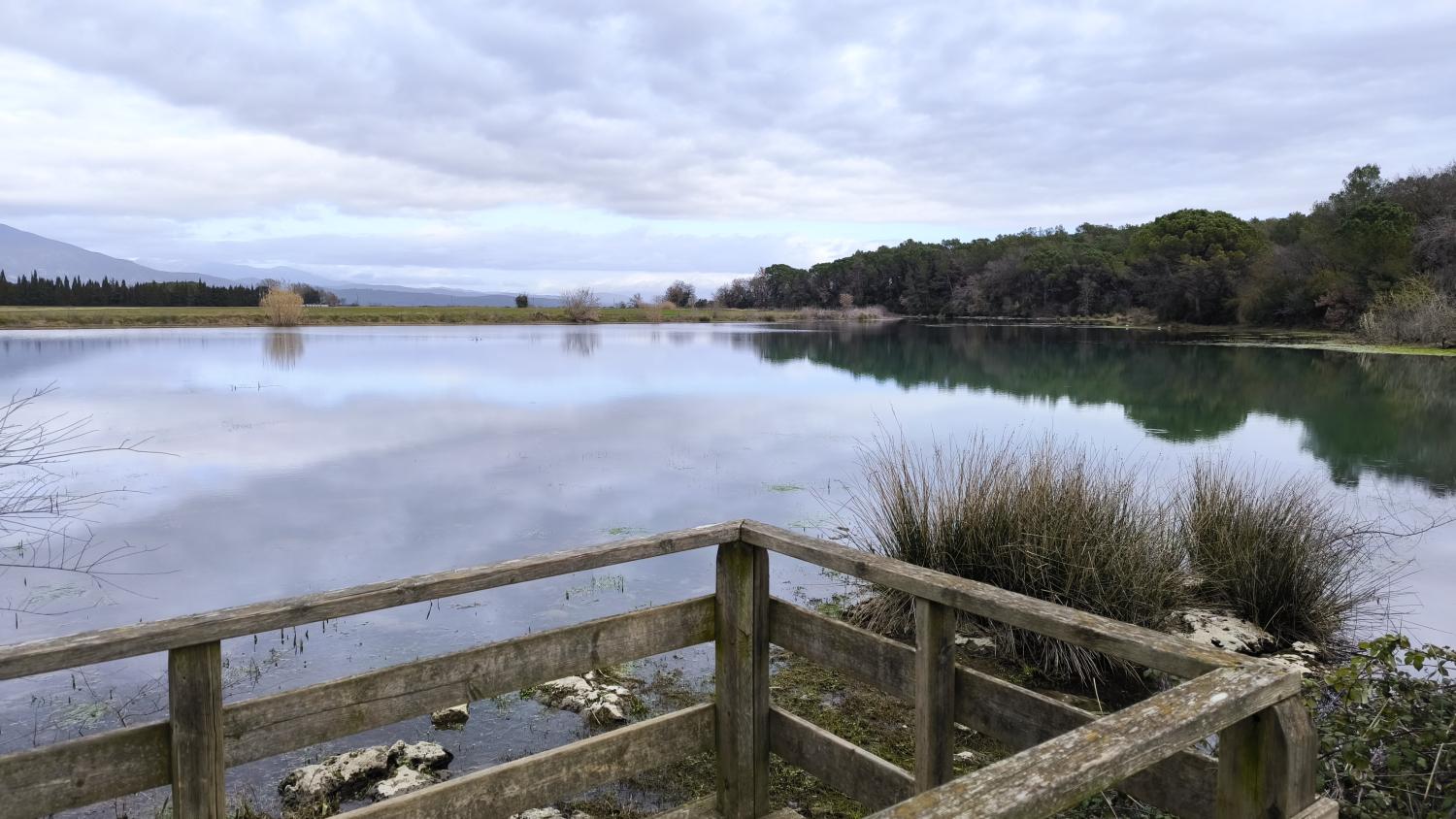 Reflejos en el agua de la Platja d’Espolla .