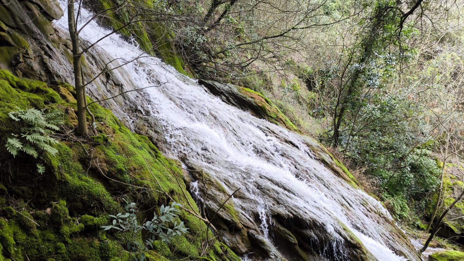 El agua fluye en el Salt de Martís.