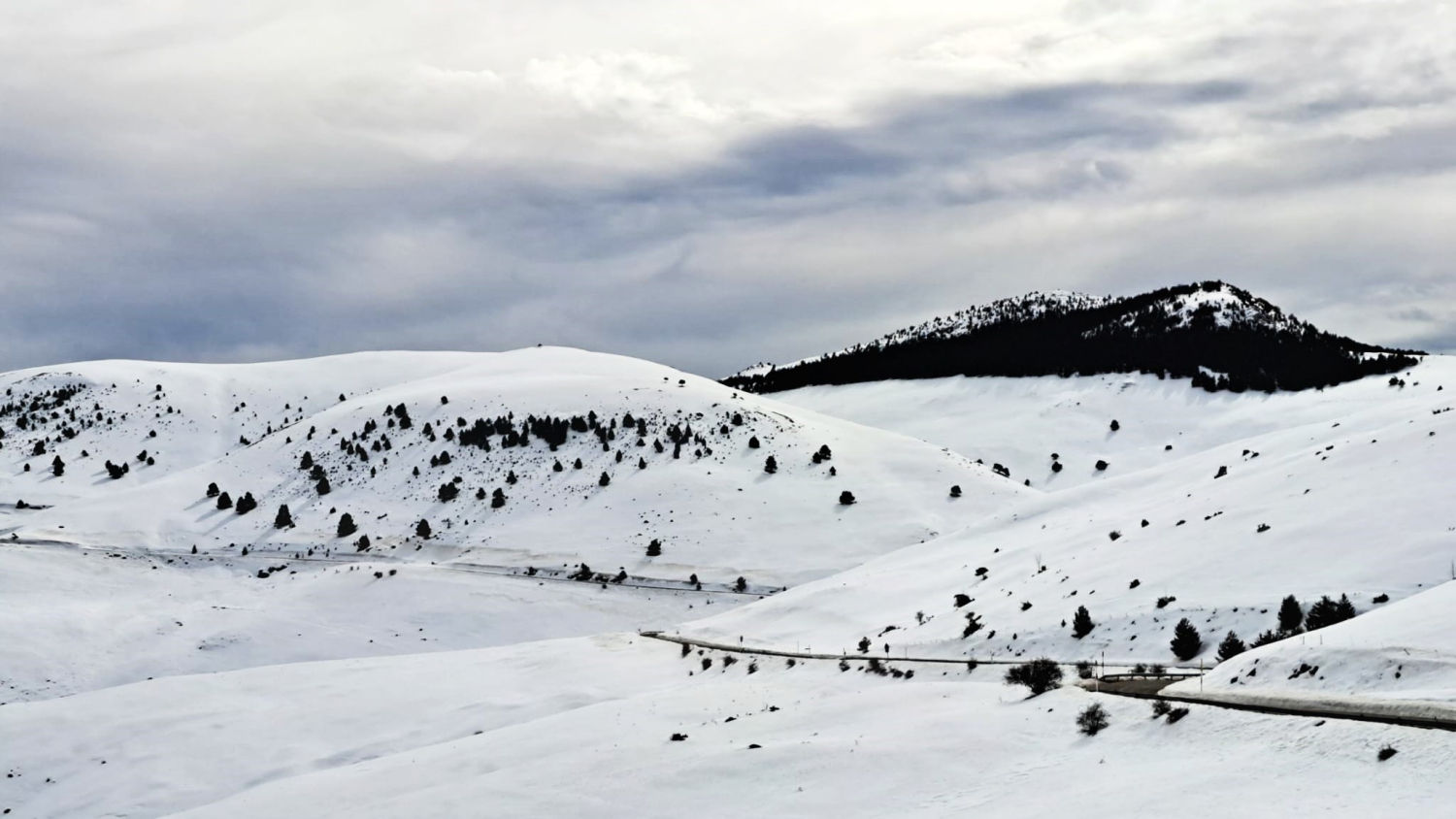 Invierno blanco en el Coll de la Creueta.
