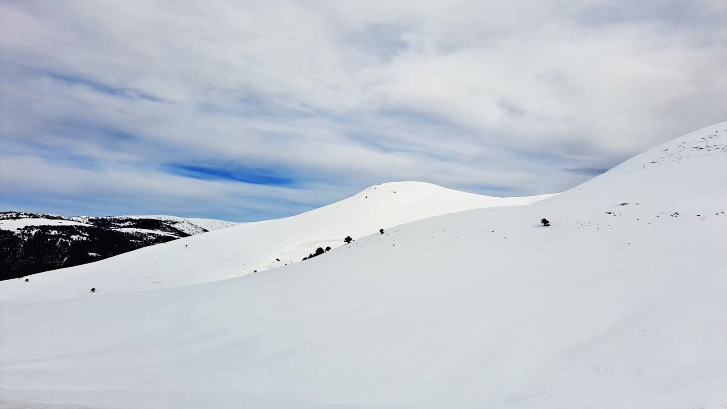 Paisaje de nieve en el Coll de la Creueta.