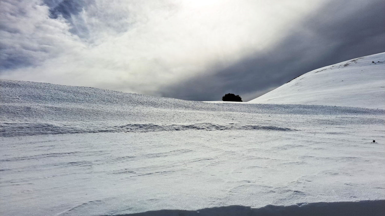 Explorando el Coll de la Creueta.