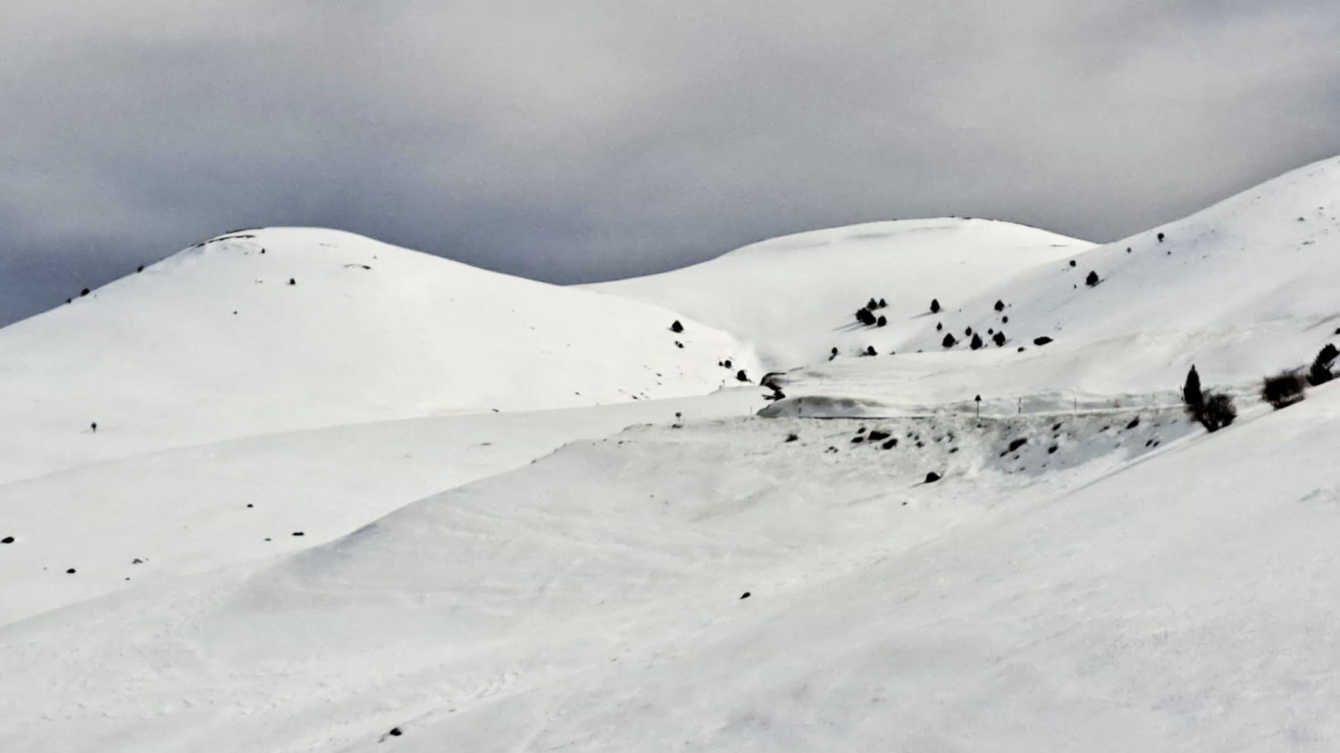 Perspectiva blanca del Coll de la Creueta.
