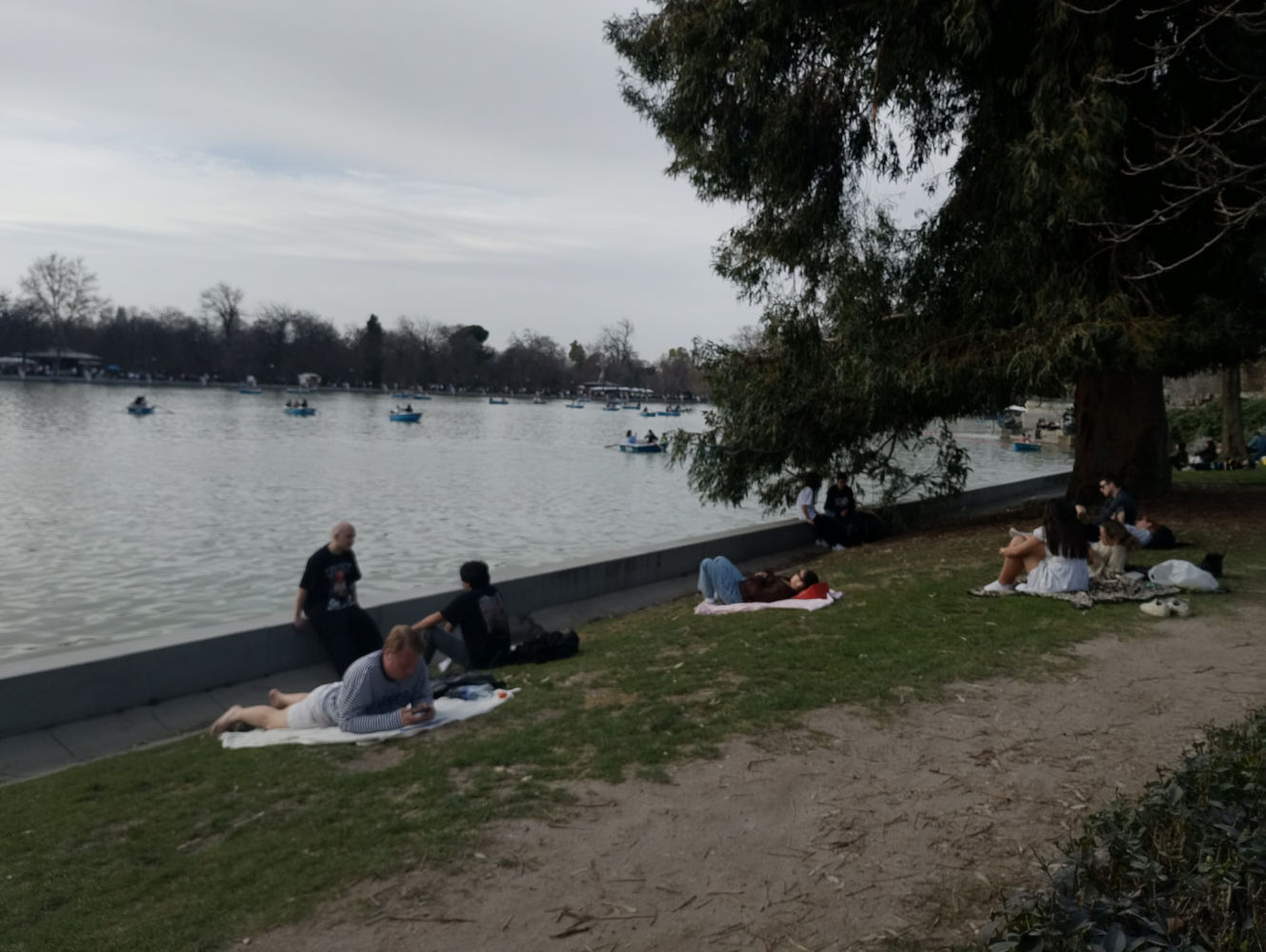 Descansando a orillas del estanque de El Retiro.