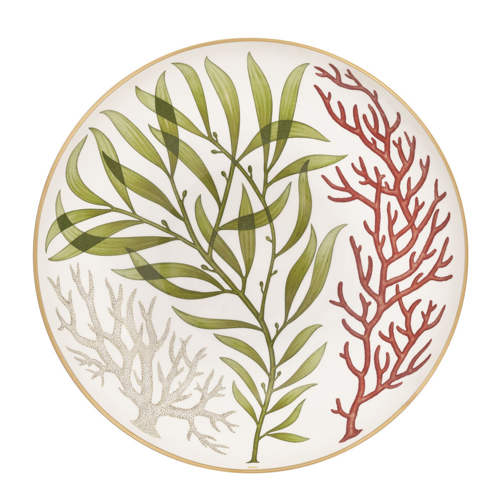 Katie Scott se inspira en las ilustraciones botánicas inglesas del XIX y en la flora marina de Gales para dibujar la vajilla Natures Marines de Hermès