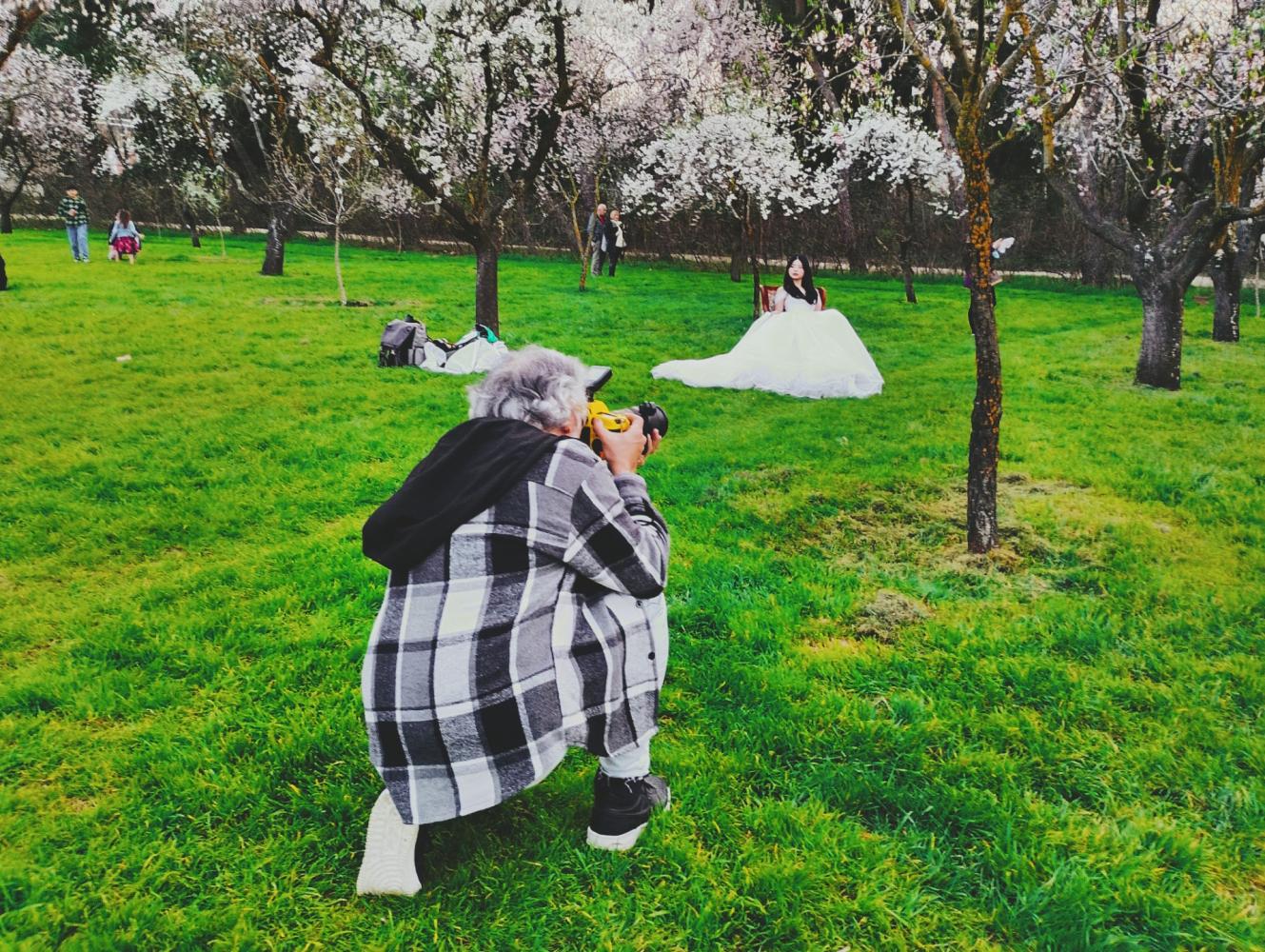 Sesión de fotos entre almendros en la Quinta de los Molinos.