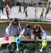 Estudiantes de una escuela de Barcelona riegan las plantas del patio