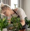 Mujer arreglando plantas de interior