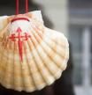 La concha del peregrino es un símbolo bien conocido del Camino de Santiago