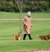 La reina siempre ha estado rodeada de corgis