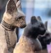Estatuas de gatos halladas en la necrópolis de Saqqara, noviembre de 2019.